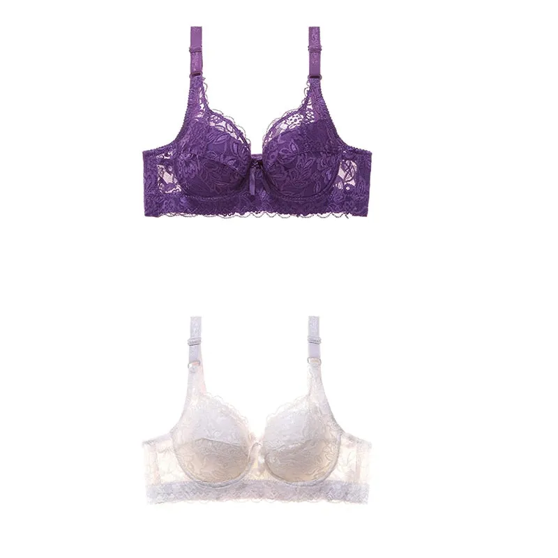 2 Piece Lace Bra Push Up Bras Underwear Bralette Lingerie Plus Size Tops Brassiere BH Backless Bras