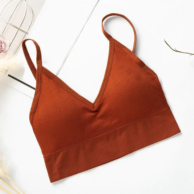 Elastic And Padded Midriff Sports Bra