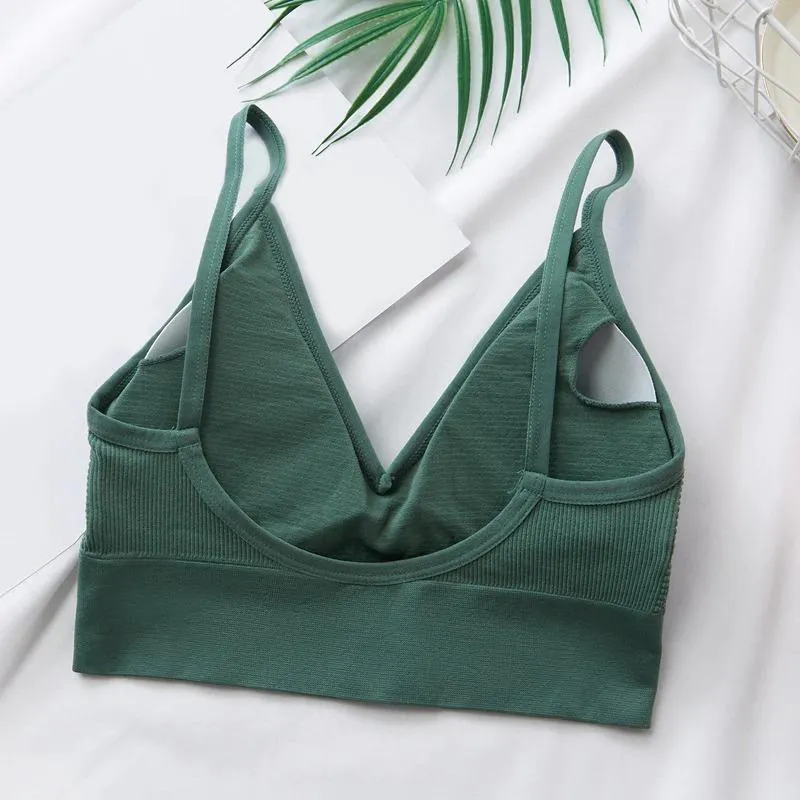 Elastic And Padded Midriff Sports Bra