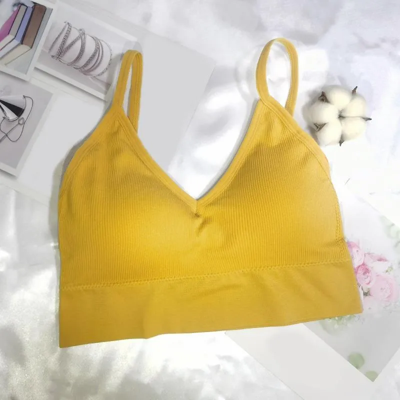 Elastic And Padded Midriff Sports Bra