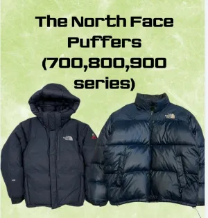 The north face puffers (700,800,900 series) -10 pieces